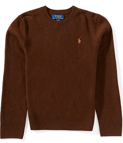 Polo Ralph Lauren Big Boys Long-Sleeve Wool Sweater