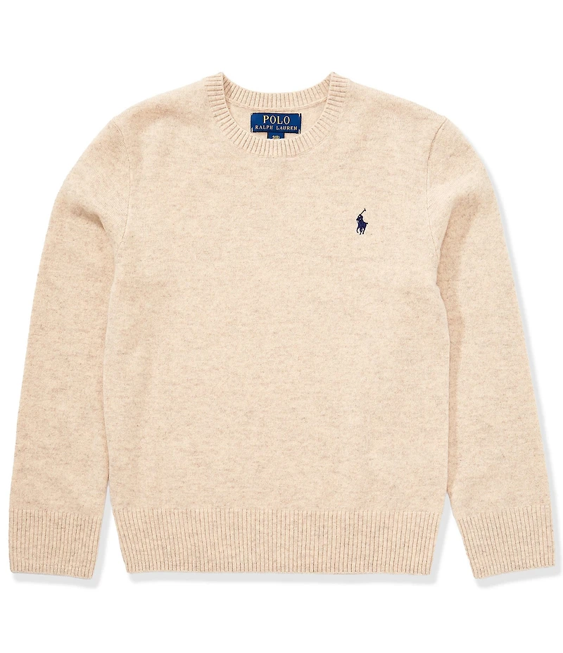 Polo Ralph Lauren Big Boys Long-Sleeve Wool Sweater