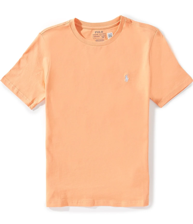 Polo Ralph Lauren Big Boys Short Sleeve Jersey T-Shirt