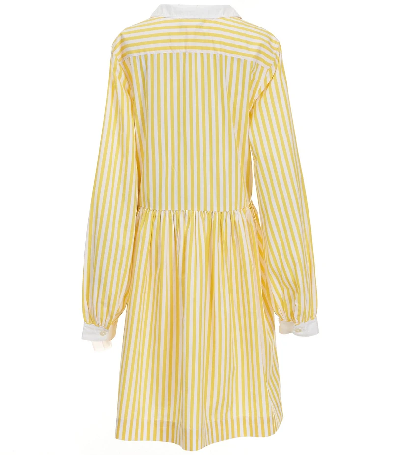 Polo Ralph Lauren Big Girls Long-Sleeve Striped Poplin Shirtdress