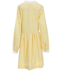 Polo Ralph Lauren Big Girls Long-Sleeve Striped Poplin Shirtdress