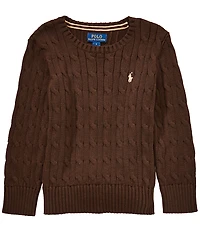 Polo Ralph Lauren Little Boys Long Sleeve Cable Knit Sweater