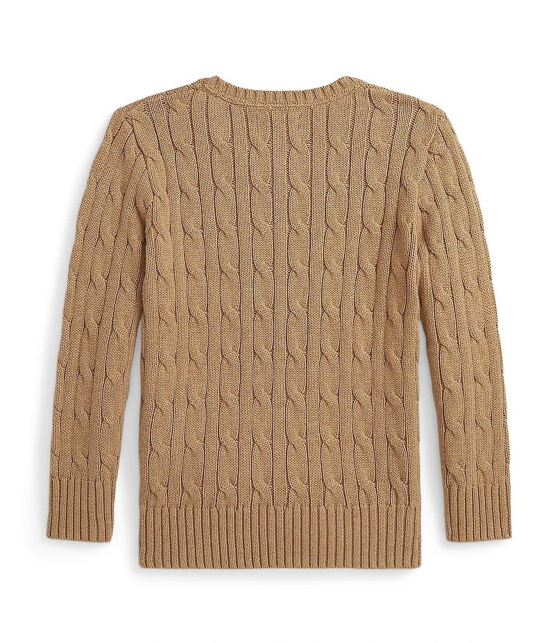 Polo Ralph Lauren Little Boys Long Sleeve Cable Knit Sweater