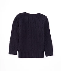 Polo Ralph Lauren Little Boys Long Sleeve Cable Knit Sweater