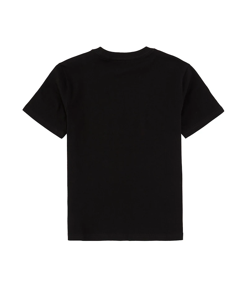 Polo Ralph Lauren Little Boys Short-Sleeve Big Pony Jersey T-Shirt