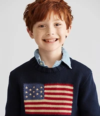 Polo Ralph Lauren Little Boys American Flag Sweater