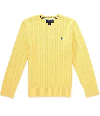 Polo Ralph Lauren Little Boys Long Sleeve Cable Knit Sweater