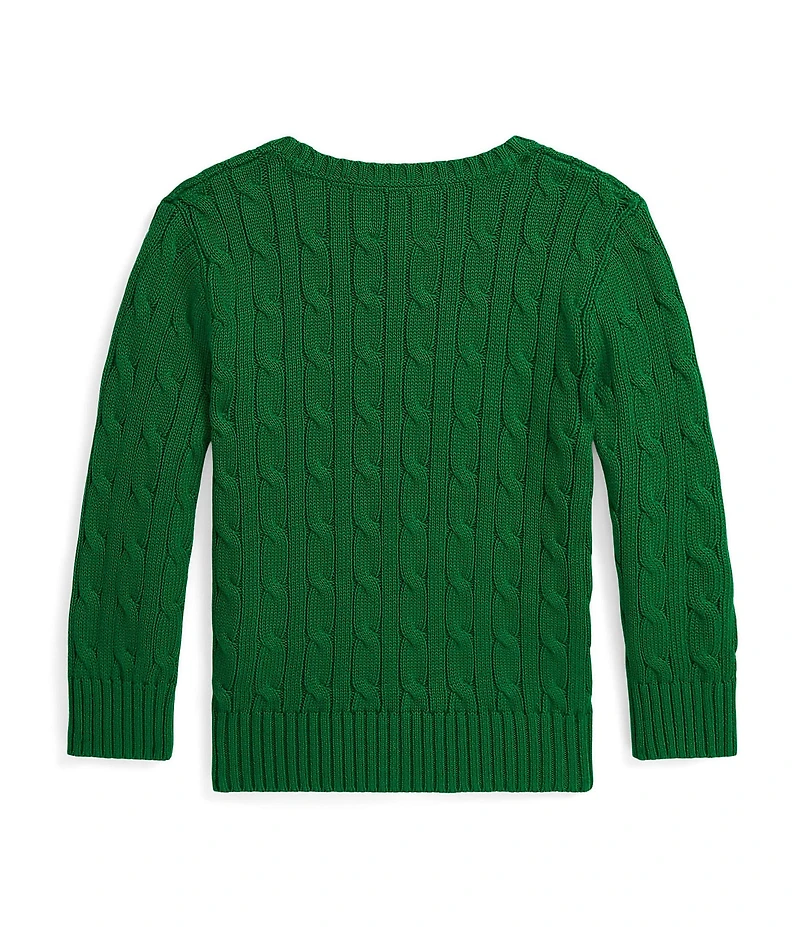 Polo Ralph Lauren Little Boys Long-Sleeve Cable-Knit Sweater