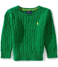 Polo Ralph Lauren Little Boys Long-Sleeve Cable-Knit Sweater
