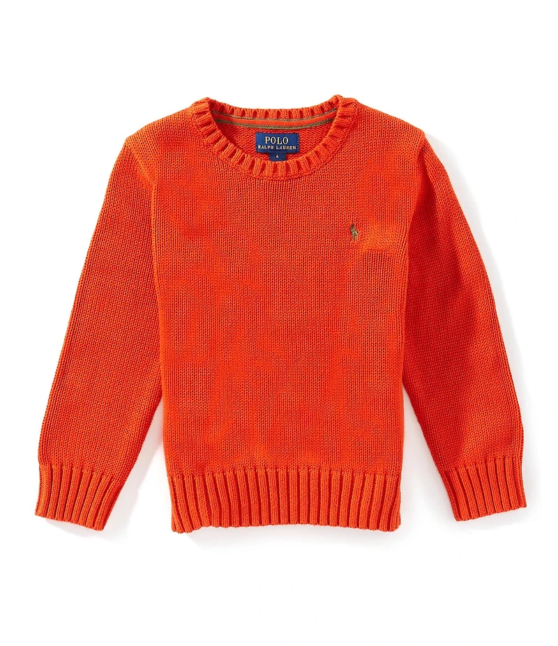 Polo Ralph Lauren Little Boys Long-Sleeve Chunky-Knit Sweater