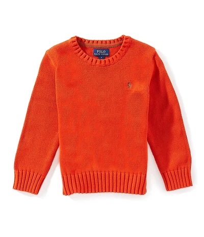 Polo Ralph Lauren Little Boys Long-Sleeve Chunky-Knit Sweater