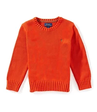 Polo Ralph Lauren Little Boys Long-Sleeve Chunky-Knit Sweater