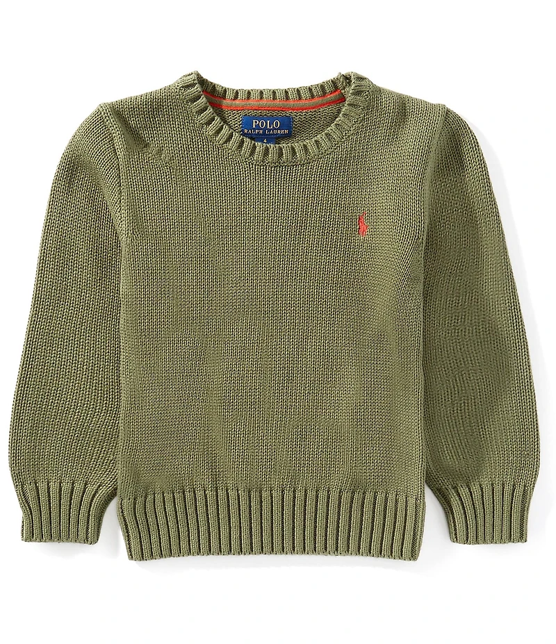 Polo Ralph Lauren Little Boys Long-Sleeve Chunky-Knit Sweater