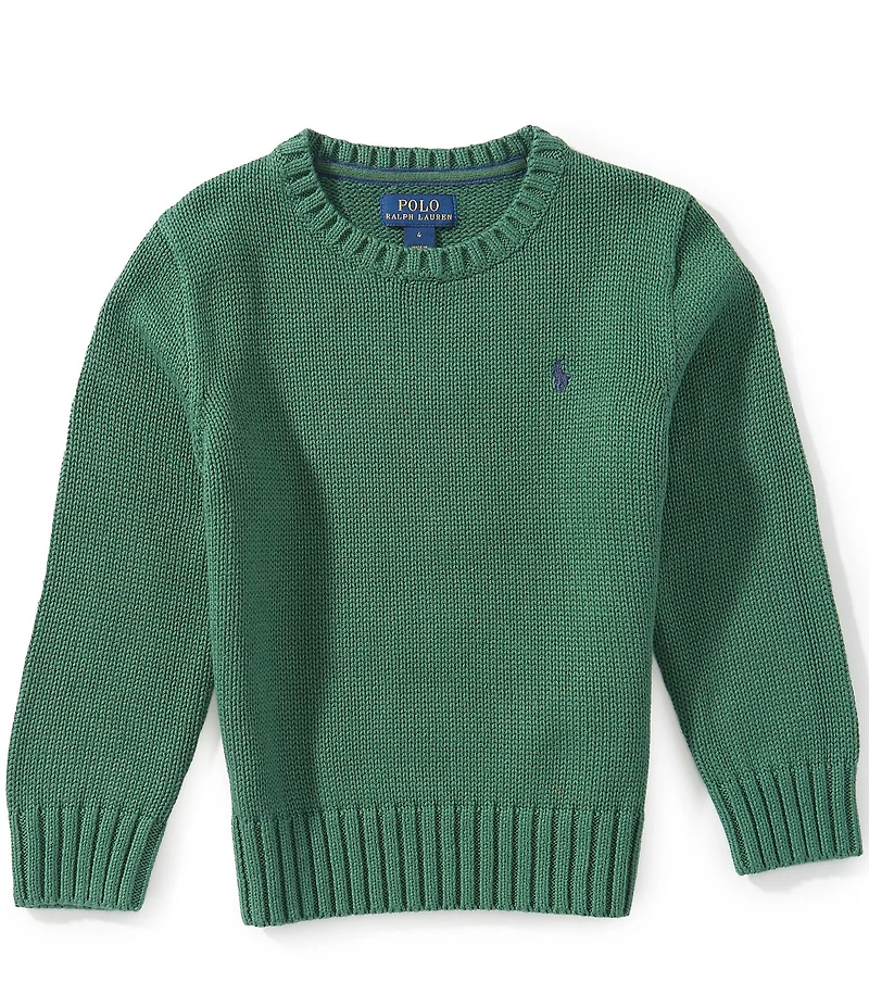 Polo Ralph Lauren Little Boys Long Sleeve Chunky Knit Sweater