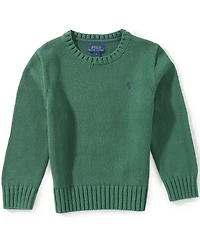 Polo Ralph Lauren Little Boys Long Sleeve Chunky Knit Sweater