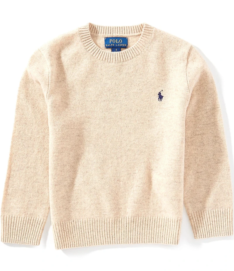 Polo Ralph Lauren Little Boys Long-Sleeve Wool Sweater