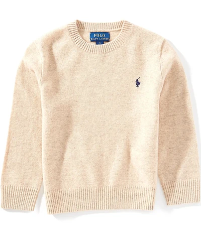 Polo Ralph Lauren Little Boys Long-Sleeve Wool Sweater