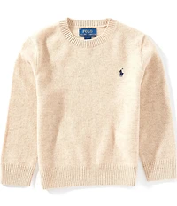 Polo Ralph Lauren Little Boys Long-Sleeve Wool Sweater