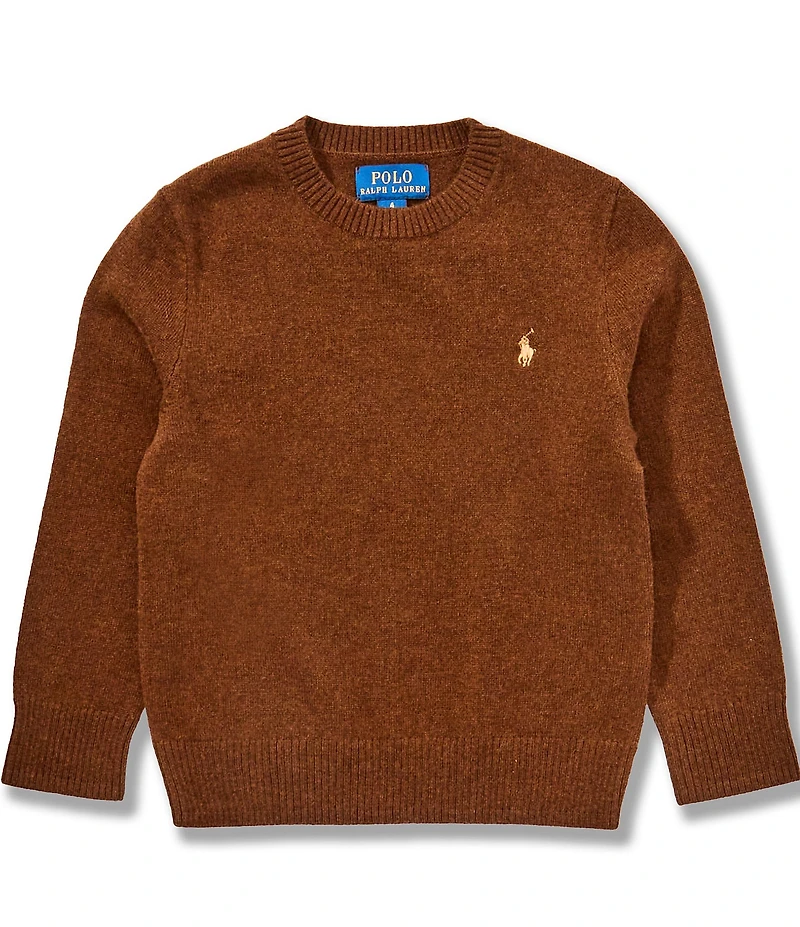 Polo Ralph Lauren Little Boys Long-Sleeve Wool Sweater