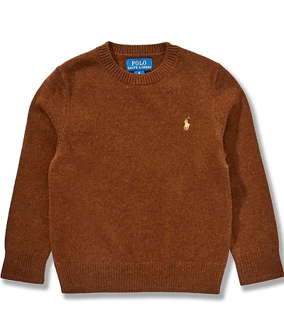 Polo Ralph Lauren Little Boys Long-Sleeve Wool Sweater