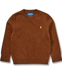 Polo Ralph Lauren Little Boys Long-Sleeve Wool Sweater
