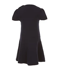 Polo Ralph Lauren Little Girls Flag Applique Dress