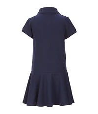 Polo Ralph Lauren Little Girls Short-Sleeve Mesh Dropwaist Polo Dress