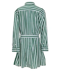 Polo Ralph Lauren Little Girls Long-Sleeve Striped Poplin Shirtdress