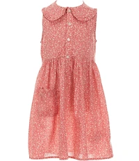 Polo Ralph Lauren Little Girls Sleeveless Floral Peter Pan Collar Dress