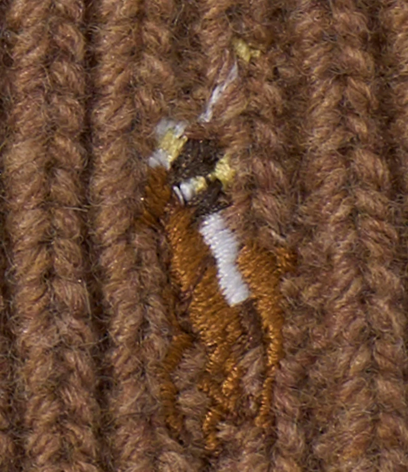 Polo Ralph Lauren Signature Cuff Wool Blend Beanie