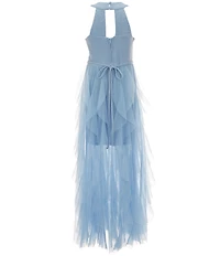 Poppies and Roses Big Girls Glitter-Knit/Tulle-Cascading-Overlay Skirted Ballgown