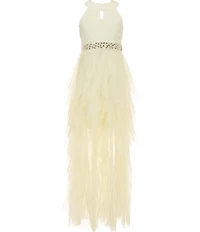 Poppies and Roses Big Girls Glitter-Knit/Tulle-Cascading-Overlay Skirted Maxi Dress