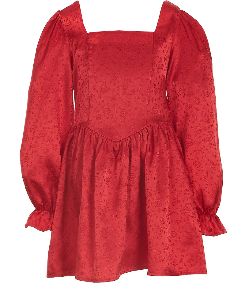 Poppies and Roses Big Girls Long-Sleeve Fit-And-Flare Dress