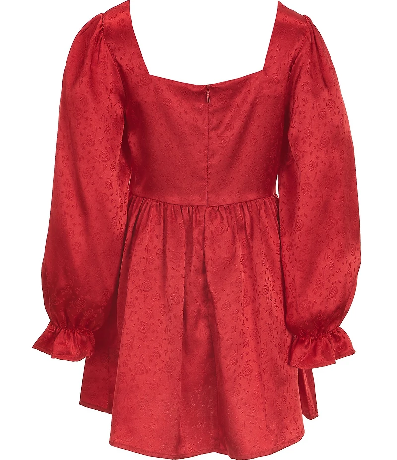 Poppies and Roses Big Girls Long-Sleeve Fit-And-Flare Dress