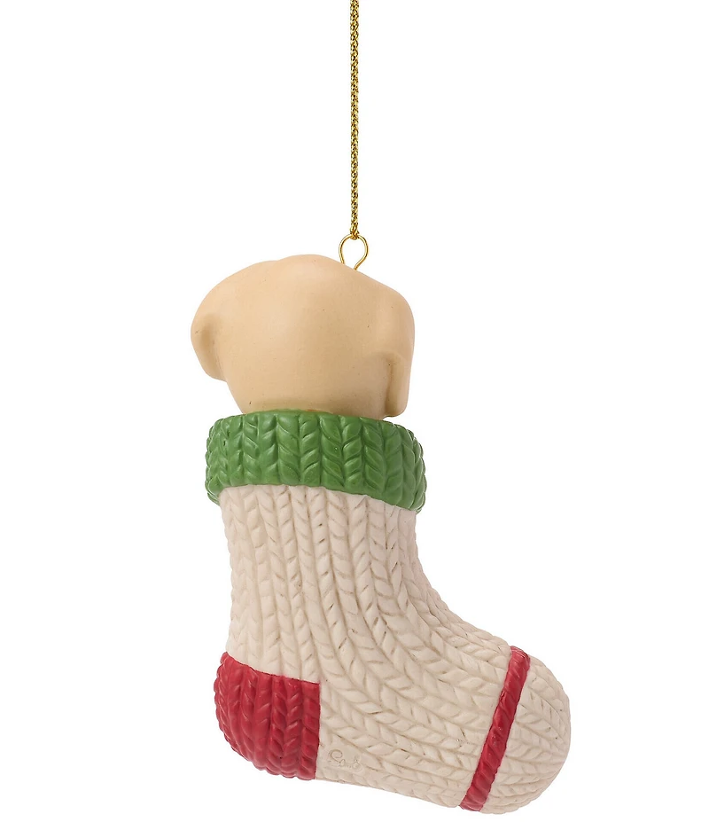 Precious Moments Paw-fectly Cozy Dog Dated 2026 Hanging Ornament