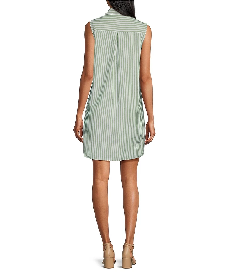 Preston & York Placket Button Sleeveless Collar Jenna Dress