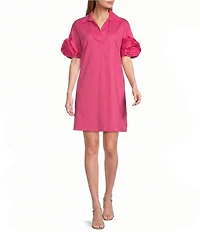 Preston & York Reagan Collar Neckline Short Sleeve Dress
