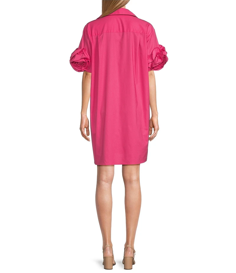 Preston & York Reagan Collar Neckline Short Sleeve Dress