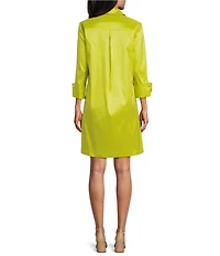 Preston & York Thea Taffeta 3/4 Sleeve Point Collar Dress