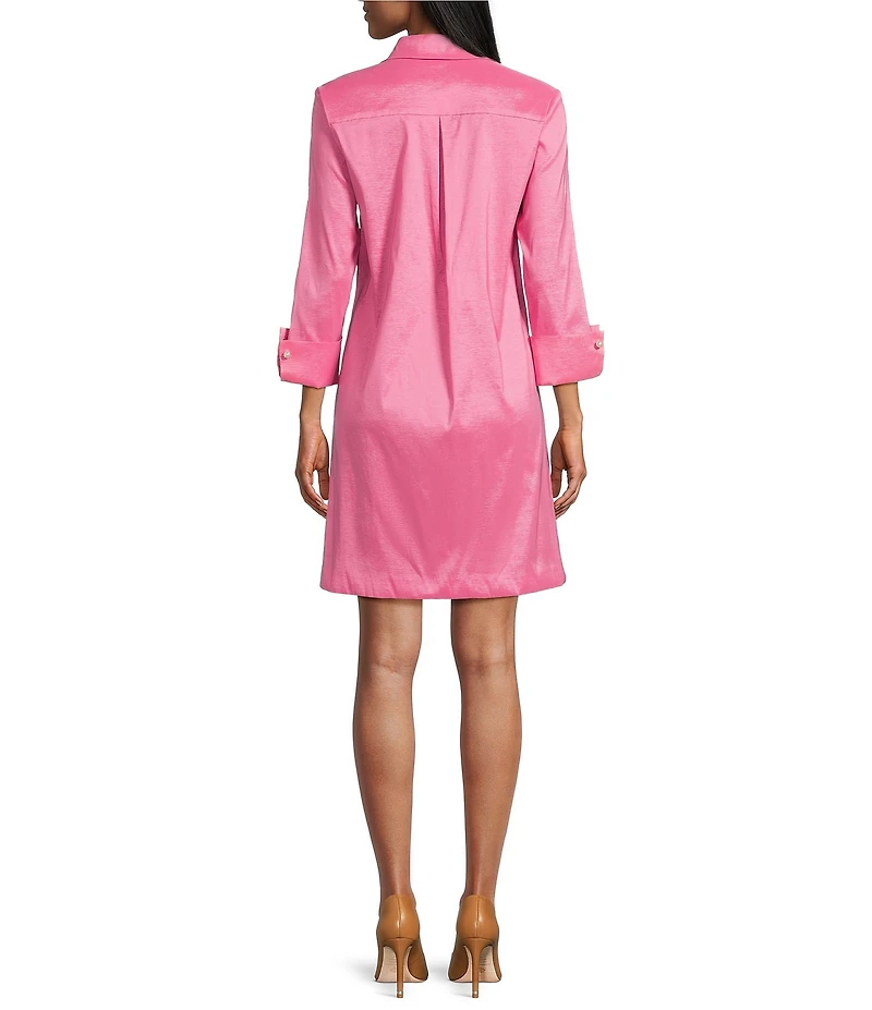 Preston & York Thea Taffeta 3/4 Sleeve Point Collar Dress
