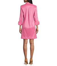 Preston & York Thea Taffeta 3/4 Sleeve Point Collar Dress