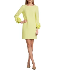 Preston & York Valentine Long Sleeve Ruffle Crepe Dress