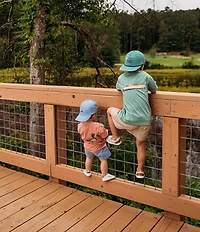 Properly Tied Little Boys Mallard Pull-On Shorts