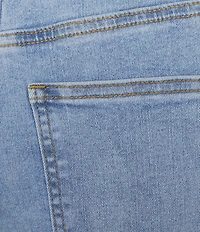 Prosperity Denim Floral Ivory Embroidered Denim Shorts