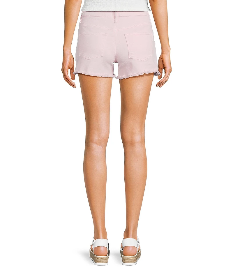 Prosperity Denim Floral Embroidered Shorts