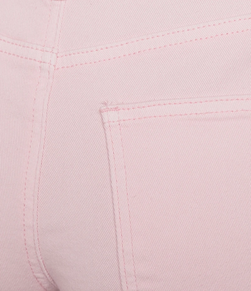 Prosperity Denim Floral Embroidered Shorts