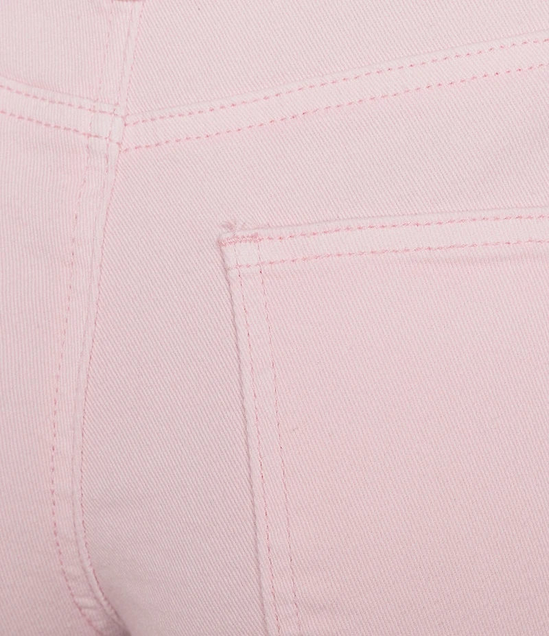 Prosperity Denim Pink Floral Embroidered Shorts