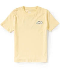Quiksilver Big Boys Paradise Logo Short Sleeve T-Shirt