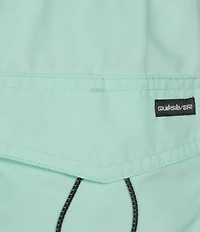 Quiksilver Everyday Solid 6#double; Inseam Volley Swim Trunks