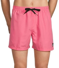 Quiksilver Everyday Solid 6#double; Inseam Volley Swim Trunks